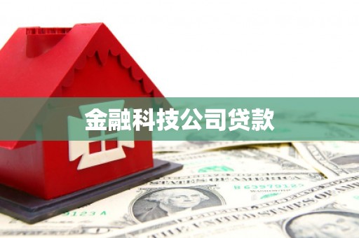 双城金融科技公司贷款