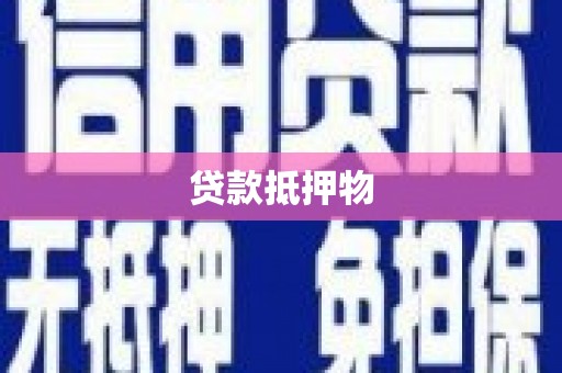 磁县贷款抵押物