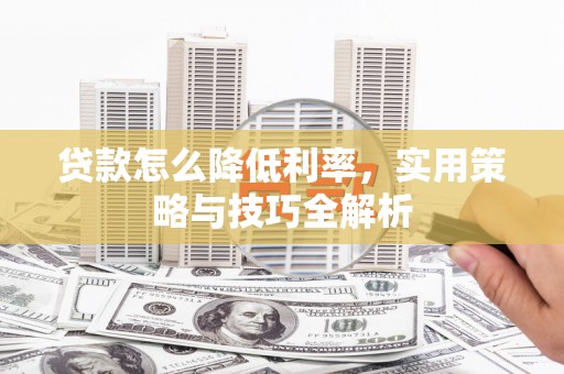 禄丰贷款怎么降低利率，实用策略与技巧全解析