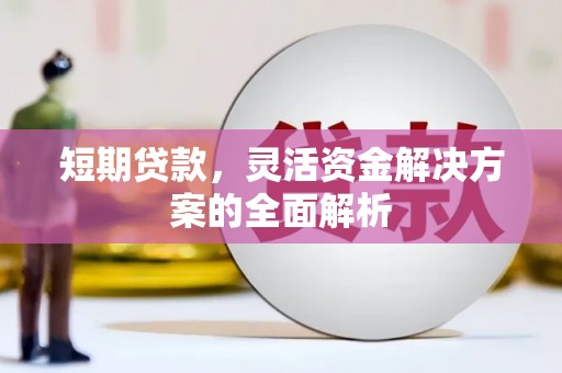 丹凤短期贷款，灵活资金解决方案的全面解析