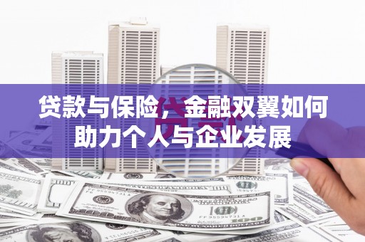 金阳贷款与保险，金融双翼如何助力个人与企业发展