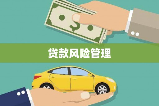 泸西贷款风险管理