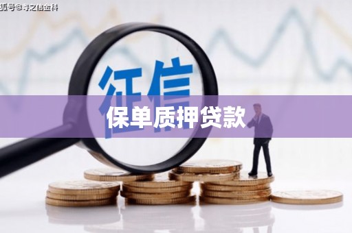 法库保单质押贷款