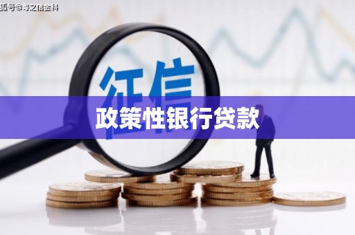 甘南政策性银行贷款