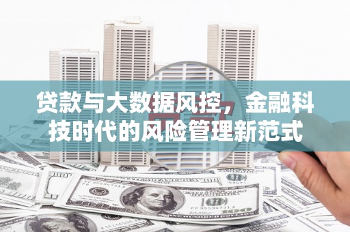 民和贷款与大数据风控，金融科技时代的风险管理新范式