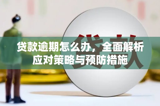 西峡贷款逾期怎么办，全面解析应对策略与预防措施