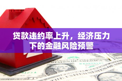 宾川贷款违约率上升，经济压力下的金融风险预警