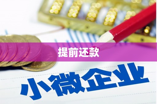 永清提前还款