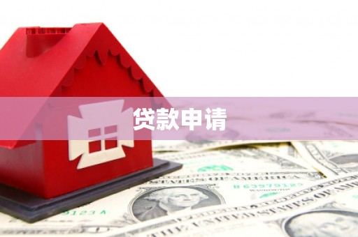 海兴贷款申请