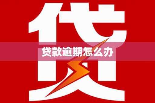 仙游贷款逾期怎么办
