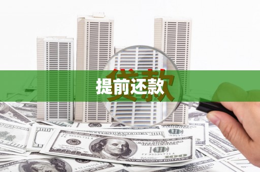 汤原提前还款