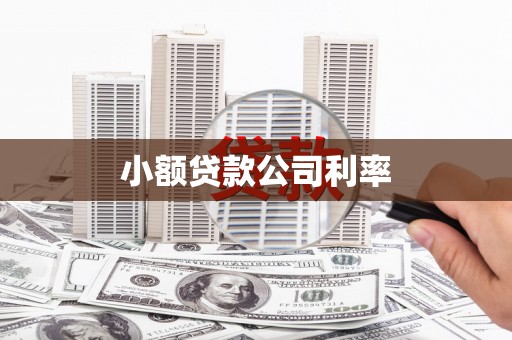 延平小额贷款公司利率