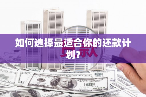 榕城如何选择最适合你的还款计划？