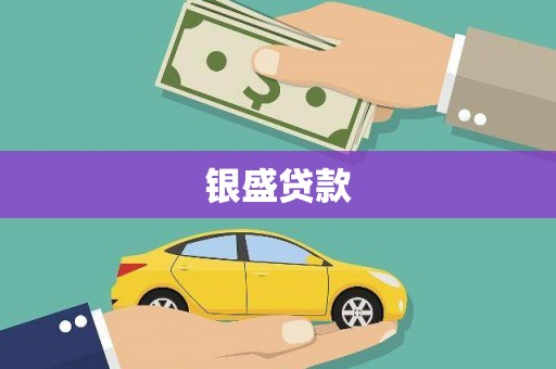 崖州银盛贷款