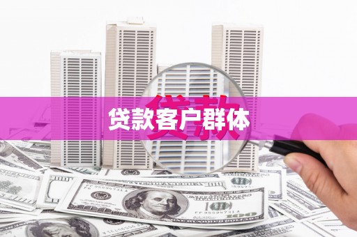 苑里贷款客户群体