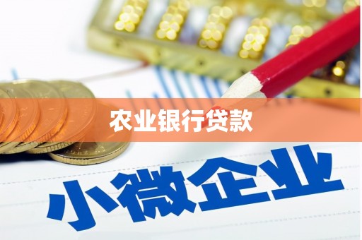 汉中农业银行贷款