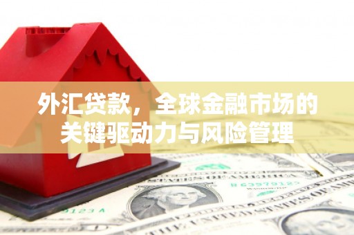 彭泽外汇贷款，全球金融市场的关键驱动力与风险管理