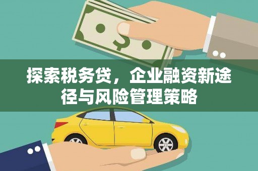 土默特左旗探索税务贷，企业融资新途径与风险管理策略