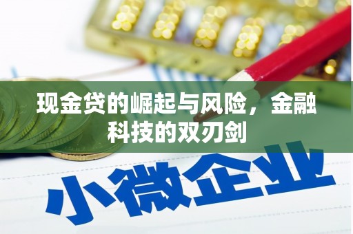 红安现金贷的崛起与风险，金融科技的双刃剑