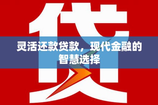 临海灵活还款贷款，现代金融的智慧选择