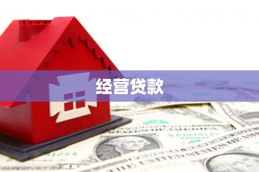 美姑经营贷款