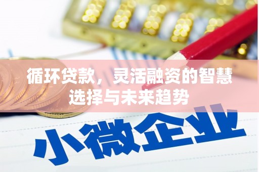 旗津循环贷款，灵活融资的智慧选择与未来趋势