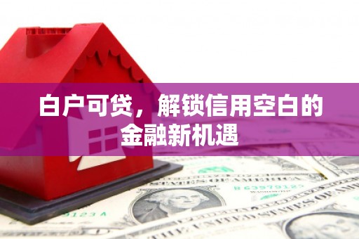宜丰白户可贷，解锁信用空白的金融新机遇