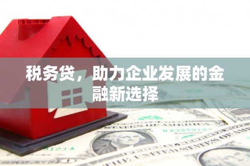 桐庐税务贷，助力企业发展的金融新选择