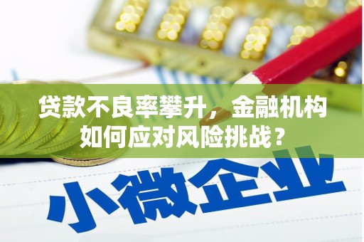 宿松贷款不良率攀升，金融机构如何应对风险挑战？
