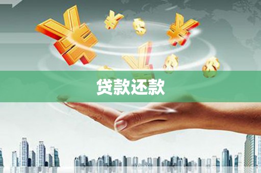 无为贷款还款