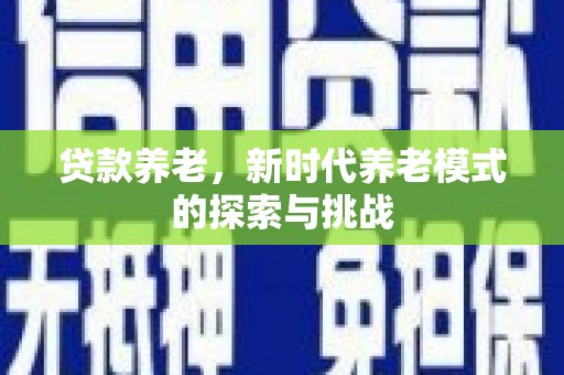 港南贷款养老，新时代养老模式的探索与挑战