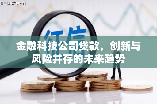 安溪金融科技公司贷款，创新与风险并存的未来趋势