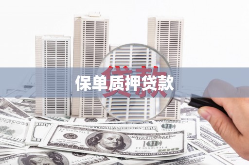 河池保单质押贷款