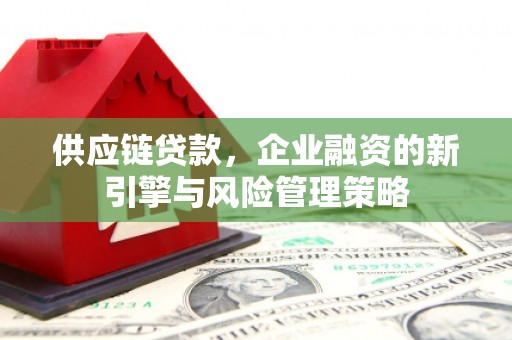 瑞穗供应链贷款，企业融资的新引擎与风险管理策略