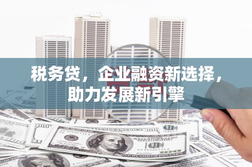 万年税务贷，企业融资新选择，助力发展新引擎