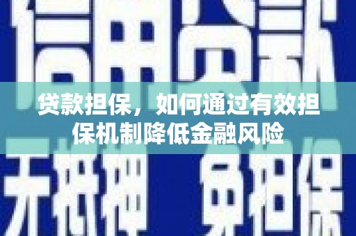 中区贷款担保，如何通过有效担保机制降低金融风险