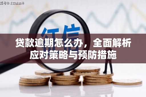 高密贷款逾期怎么办，全面解析应对策略与预防措施