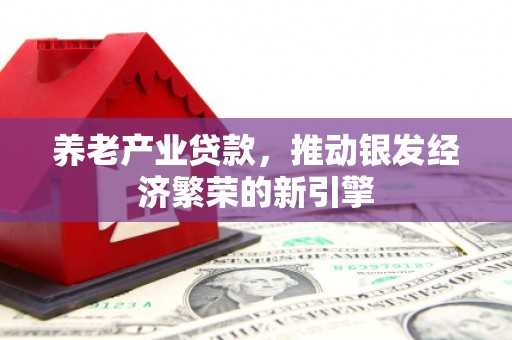 巍山养老产业贷款，推动银发经济繁荣的新引擎
