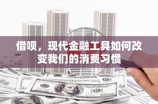 稻城借呗，现代金融工具如何改变我们的消费习惯