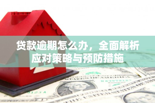 乌拉特后旗贷款逾期怎么办，全面解析应对策略与预防措施