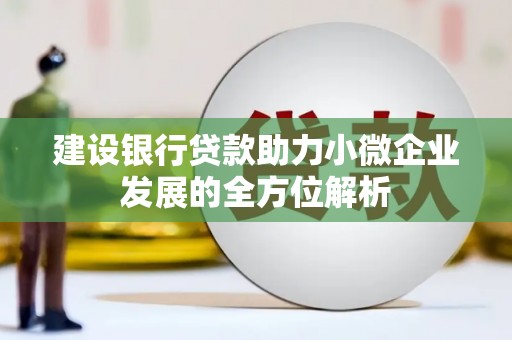 麦寮建设银行贷款助力小微企业发展的全方位解析