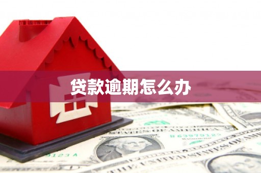 舟曲贷款逾期怎么办