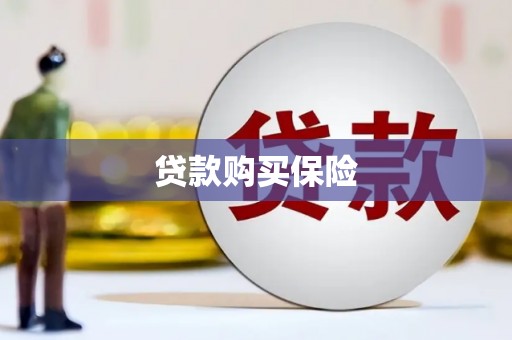 随州贷款购买保险