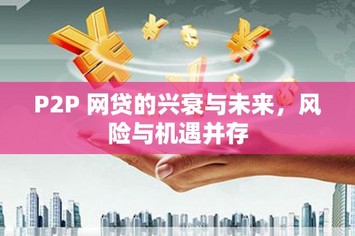 南港P2P 网贷的兴衰与未来，风险与机遇并存