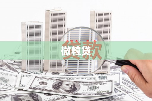 久治微粒贷