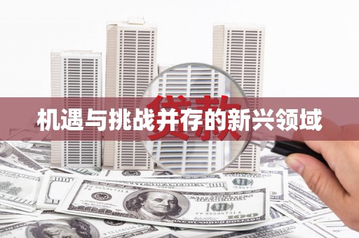 固阳机遇与挑战并存的新兴领域