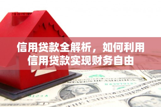 宁县信用贷款全解析，如何利用信用贷款实现财务自由