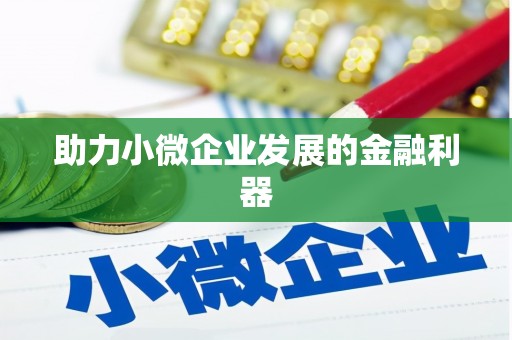 巴里坤助力小微企业发展的金融利器