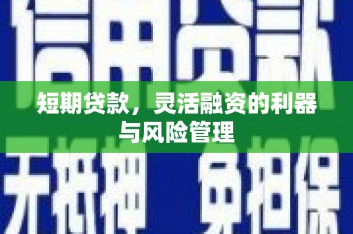 耀州短期贷款，灵活融资的利器与风险管理