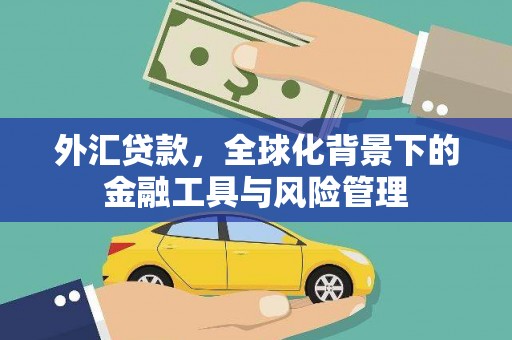 依兰外汇贷款，全球化背景下的金融工具与风险管理